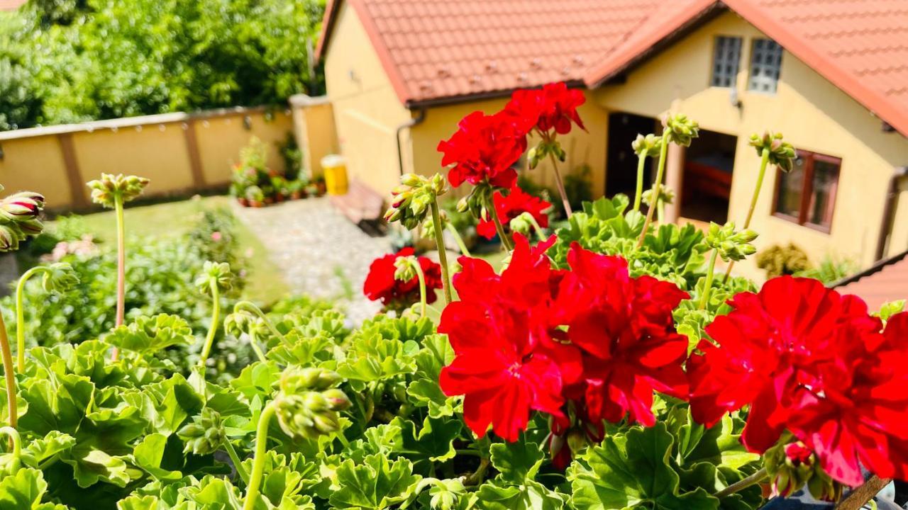 Apartament Leto House Târgu Jiu Zewnętrze zdjęcie