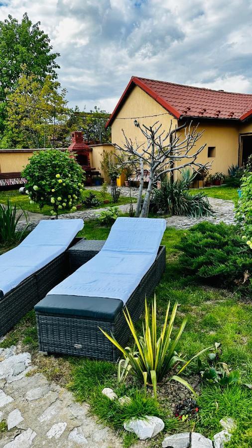 Apartament Leto House Târgu Jiu Zewnętrze zdjęcie